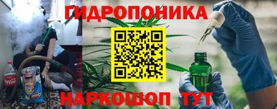 индика Рузаевка
