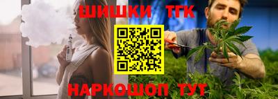 индика Рузаевка