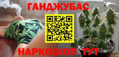 индика Рузаевка