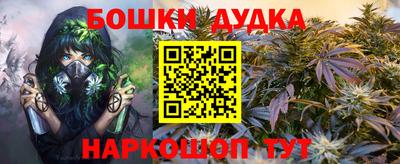 индика Рузаевка